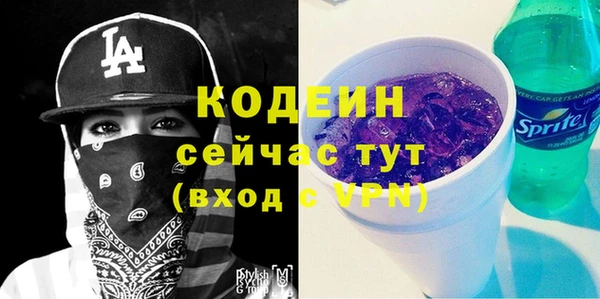 дживик Арсеньев