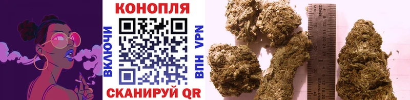 Шишки марихуана конопля  Судак 